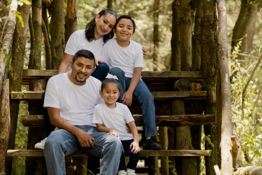Demograph Immigration - About Us